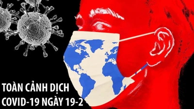 Toàn cảnh dịch COVID-19 ngày 19-2