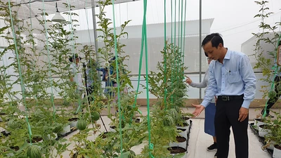 Đông Thạnh, từ bãi rác thành khu sinh thái