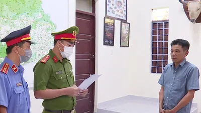 Video: Bắt tạm giam Trạm trưởng Kiểm lâm nhận hối lộ để cho lâm tặc phá rừng