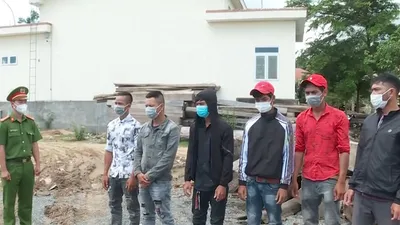 Video: Phát hiện các vụ khai thác, vận chuyển gỗ trái phép 