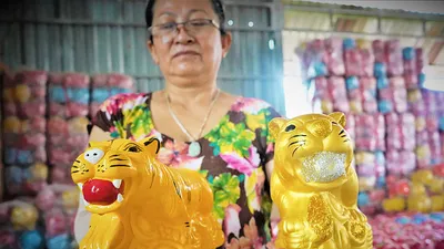 Video: Những con hổ vàng tại làng heo đất Lái Thiêu