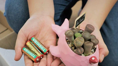 Video: Cuối tuần đem pin đổi cây xanh