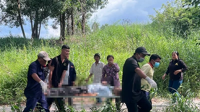 Video: Phát hiện một người đàn ông chết trong tư thế treo cổ trên cây