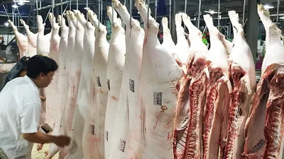 Tết này đỡ lo thịt bò bơm nước, heo có chất cấm