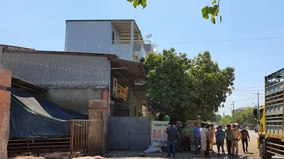 Xe tải chờ 86 con heo chết vào một lò mổ ở TP Huế (Thừa Thiên Huế). Ảnh: ND