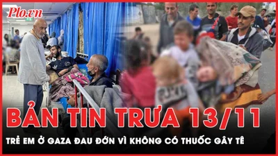 Bản tin trưa 13-11: Cập nhật tình hình trẻ em ở Dải Gaza