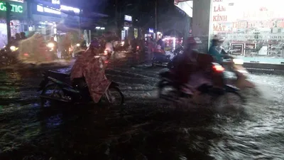  Nơi vừa giải cứu lại ngập tơi bời