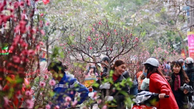 Bộ Nội vụ đề xuất nghỉ Tết Dương lịch 4 ngày