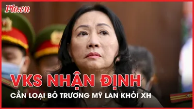 VKS nhận định 'cần loại bỏ Trương Mỹ Lan ra khỏi xã hội'