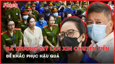Bà Trương Mỹ Lan mong muốn chuyển tiền cho cháu và chồng khắc phục hậu quả