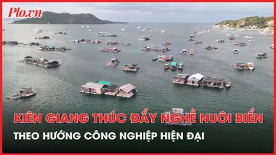 Kiên Giang: Thúc đẩy nghề nuôi biển phát triển nhanh theo hướng công nghiệp, hiện đại