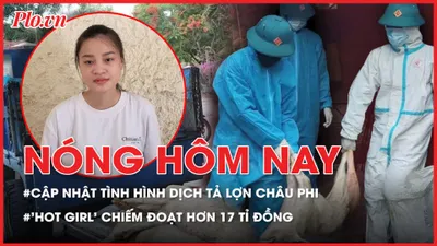 Nóng hôm nay: Thông tin về dịch tả lợn Châu Phi; Bắt 'hot girl' chiếm đoạt 17 tỉ đồng