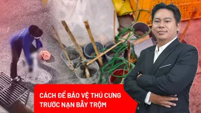 Nạn trộm chó, mèo hoành hành: Cách để thú cưng tránh ‘lọt vào tầm ngắm’
