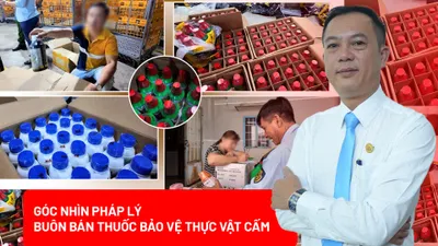 Buôn bán thuốc bảo vệ thực vật cấm: Hành vi nào sẽ bị xử lý hình sự?