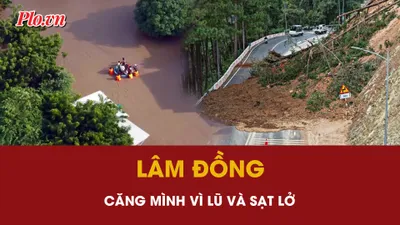 Toàn cảnh 5-12: Xả lũ và sạt lở liên tiếp, Lâm Đồng căng mình ứng phó thiệt hại lớn