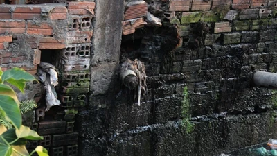 Kênh Gia Định "chết": Chất thải nuôi muỗi, muỗi hại người 