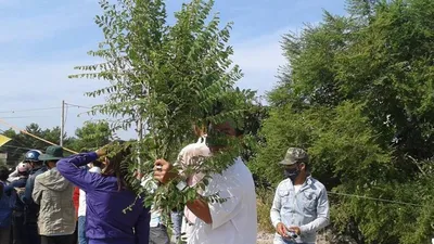 Xử vụ thảm sát Bình Phước: Kẻ gian lợi dụng móc bóp, giật dây chuyền 