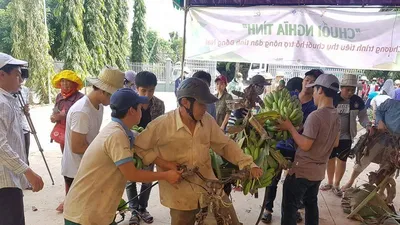Giải cứu chuối: Nước mắt nông dân và tình nguyện viên 