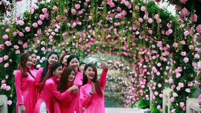 Yêu cầu báo cáo về lễ hội hoa hồng Bulgaria 