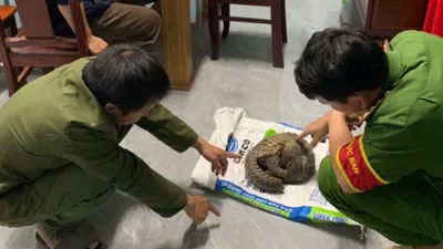 Lâm Đồng: Biểu dương hai người có hành động đẹp ở Cát Tiên 3 