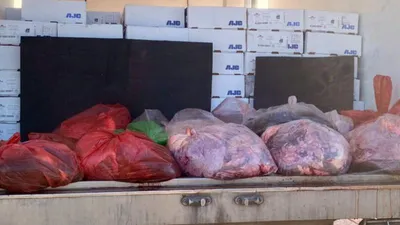 Chặn kịp thời 3,5 tấn đùi gà, nội tạng bò...không nguồn gốc