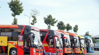 Cần Thơ: Vận tải đường bộ, hàng không 7 ngày Tết giảm