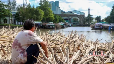 Hậu Giang: Hàng loạt ghe chở mía 'nằm chờ' nhà máy đường vào vụ 