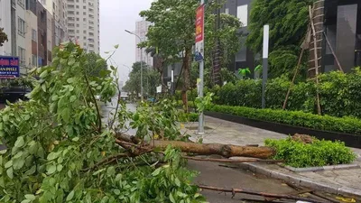 Áp thấp nhiệt đới sắp hình thành trên biển Đông