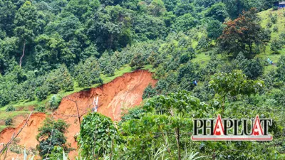 Cục Lâm nghiệp nói về nguyên nhân vụ sạt lở đèo Bảo Lộc 