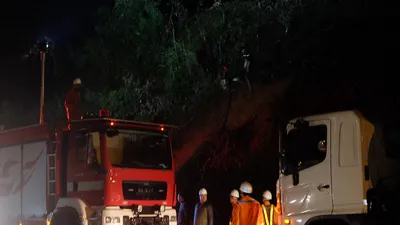 Cháy lớn tại rừng Nam Hải Vân