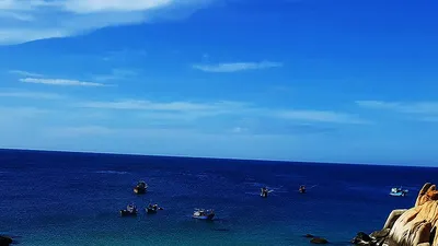 ‘Nhiệt điện Vĩnh Tân làm giảm đa dạng sinh học tại Hòn Cau’