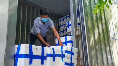  Người Đà Nẵng thuê xe tải, đội nắng mua vải thiều hỗ trợ nông dân Bắc Giang