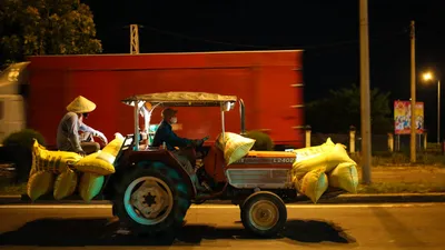 Nông dân Đà Nẵng hối hả gặt lúa xuyên đêm khi thành phố phong toả
