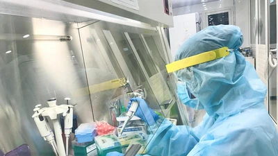 Xét nghiệm toàn bộ nhân viên Cảng hàng không quốc tế Đà Nẵng