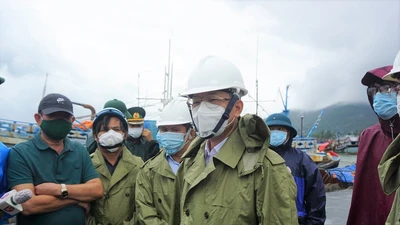 Đà Nẵng: Ngư dân lên bờ tránh bão được test nhanh COVID-19