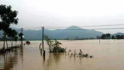 Nghệ An 8 người chết, thủy điện đồng loạt xả lũ