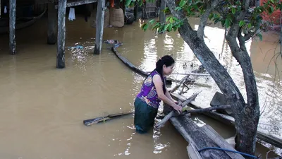 Nghệ An: 600 người đang cứu đê sạt lở