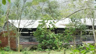 Người dân khổ sở vì trại heo bốc mùi hôi