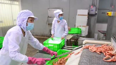 Dự thảo Luật BHXH (sửa đổi) có nhiều chính sách mới lần đầu được nghiên cứu đưa vào. Ảnh minh họa: HOÀNG GIANG