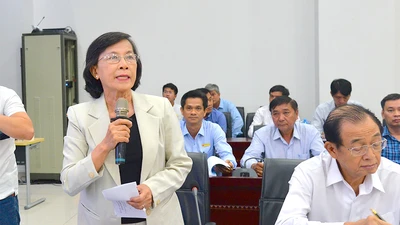 Nguyên Chủ tịch HĐND TP.HCM Phạm Phương Thảo phát biểu tại hội thảo. Ảnh: TIẾN NGÔ