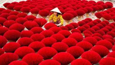 Làng nhang trăm tuổi ở TP.HCM tất bật vào vụ Tết