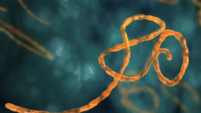 Dùng công nghệ Nano để tiêu diệt virus Ebola