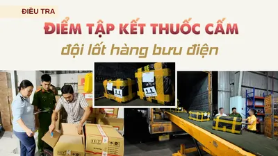 Thuốc cấm, Tây Ninh, bảo vệ thực vật, tỉnh Tây Ninh, phóng sự điều tra, điều tra thuốc cấm