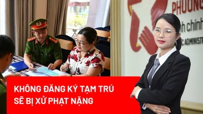 Tạm trú, mức phạt, Nghị định 282