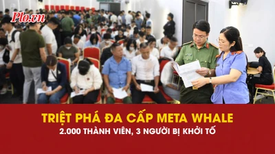 đa cấp, triệt phá, Meta Whale, an ninh
