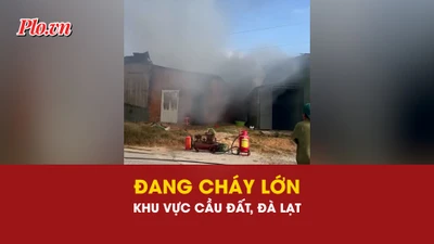 Đang cháy ở khu vực Cầu Đất, phường Xuân Trường, TP Đà Lạt