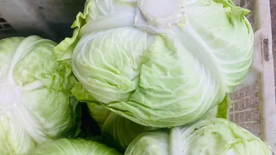 Bổ sung 1,5 chén rau xanh mỗi ngày: Chìa khóa giảm nguy cơ bệnh tim ở người lớn tuổi