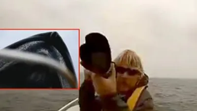 Cá voi xanh khổng lồ bất ngờ đội cả thuyền nhô lên mặt nước