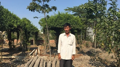 Viện kiểm sát TP.HCM: Chủ chòi vịt không phạm tội