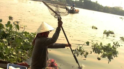 Cá chép chưa kịp đưa ông Táo về trời đã bị 'tóm'